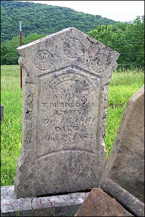 Mary Elizabeth (Austin) Anderson Grave - Austin Cemetery