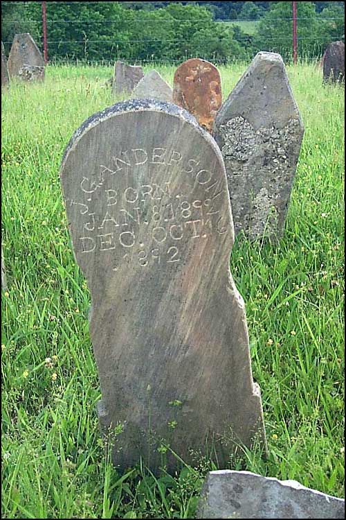 James Grover Anderson Grave - Austin Cemetery