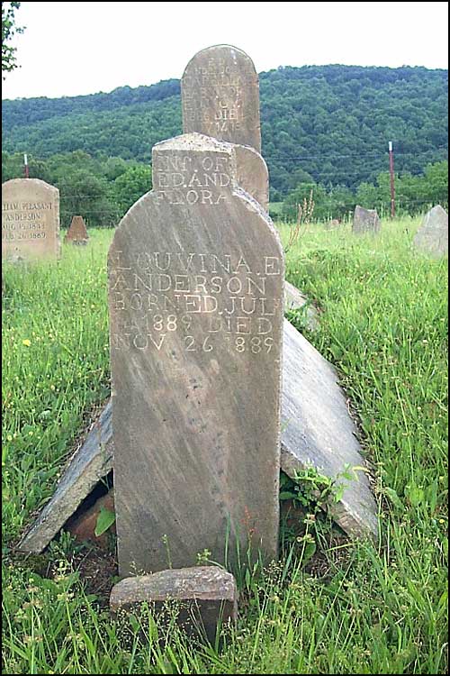 Louvina Anderson Grave - Austin Cemetery